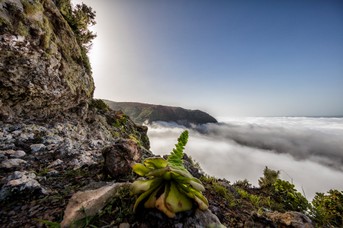 Agulo_Wolken_1.jpg